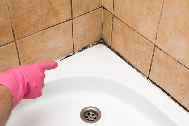 Merton, WI Mold Remediation Company